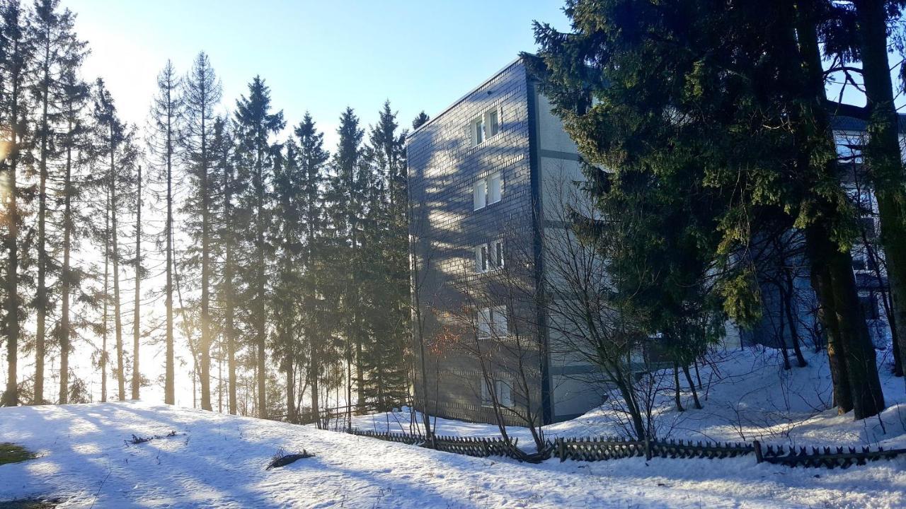 Ferienappartement Winterberg - Bikepark Um Die Ecke Eksteriør bilde